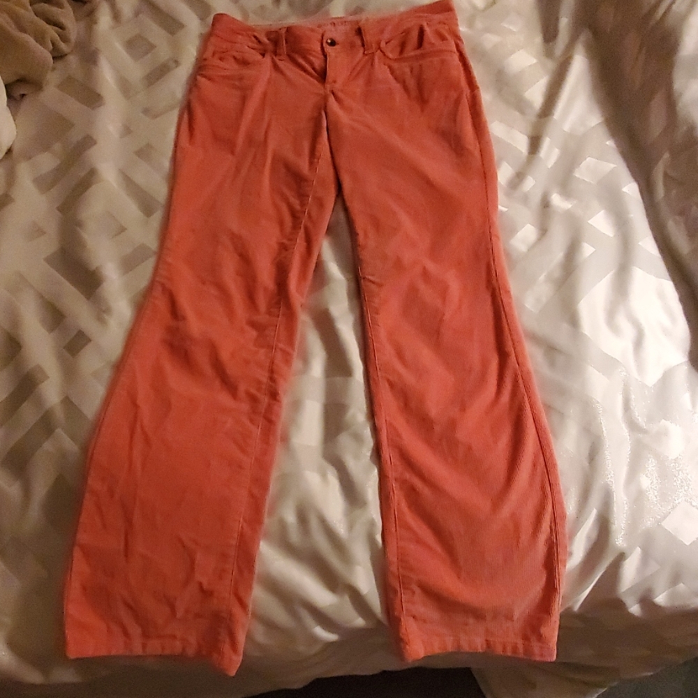 Sonoma corduroy pants